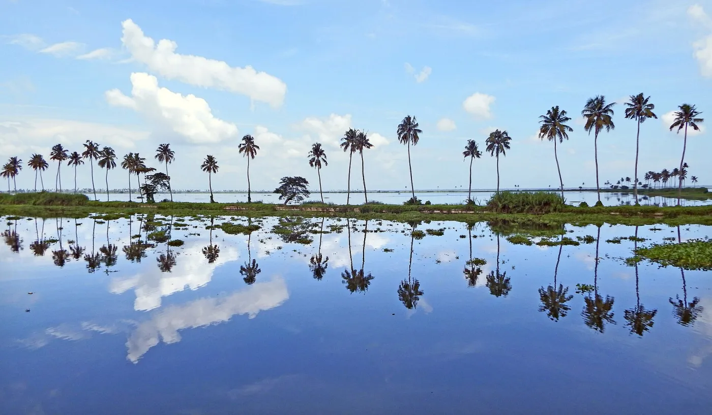 https://en.wikipedia.org/wiki/Kumarakom is a town on the backdrop of Vembanad Lake