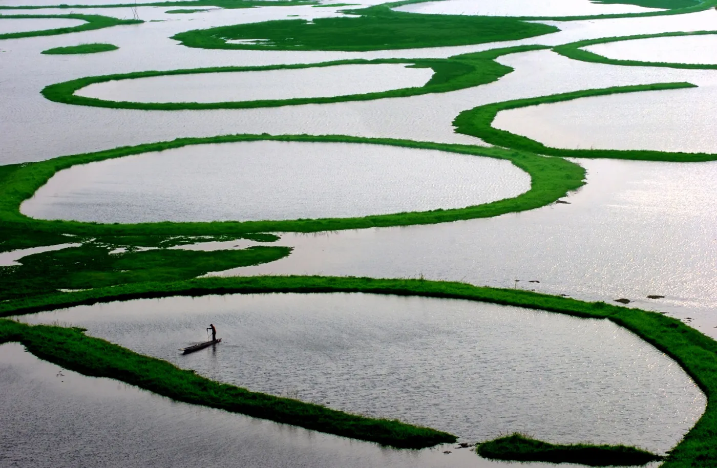 A fisherman searches for catch at Loktak lake in Manipur, India. It is also called the "Floating lake" 
due to the floating house on it.