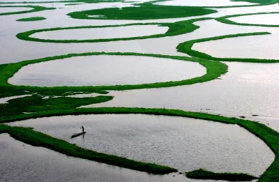 A fisherman searches for catch at Loktak lake in Manipur, India. It is also called the "Floating lake" 
due to the floating house on it.