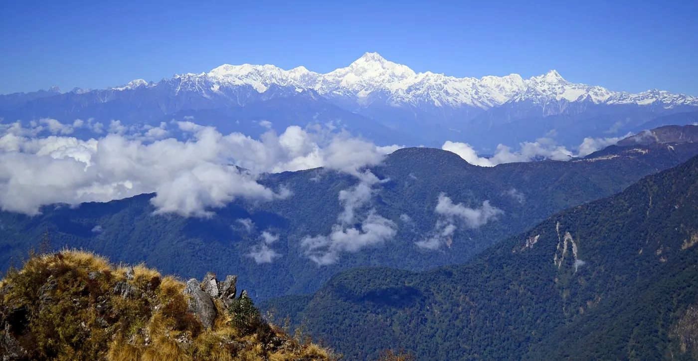 থাম্বি
