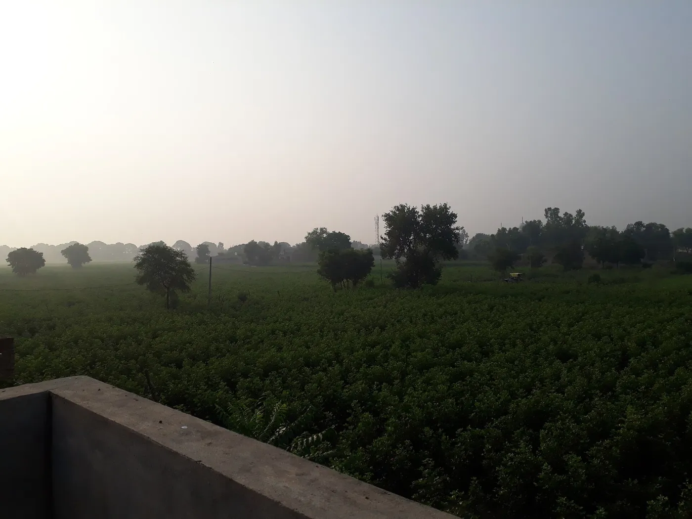 This photo is taken by itsjagbir in the morningtime